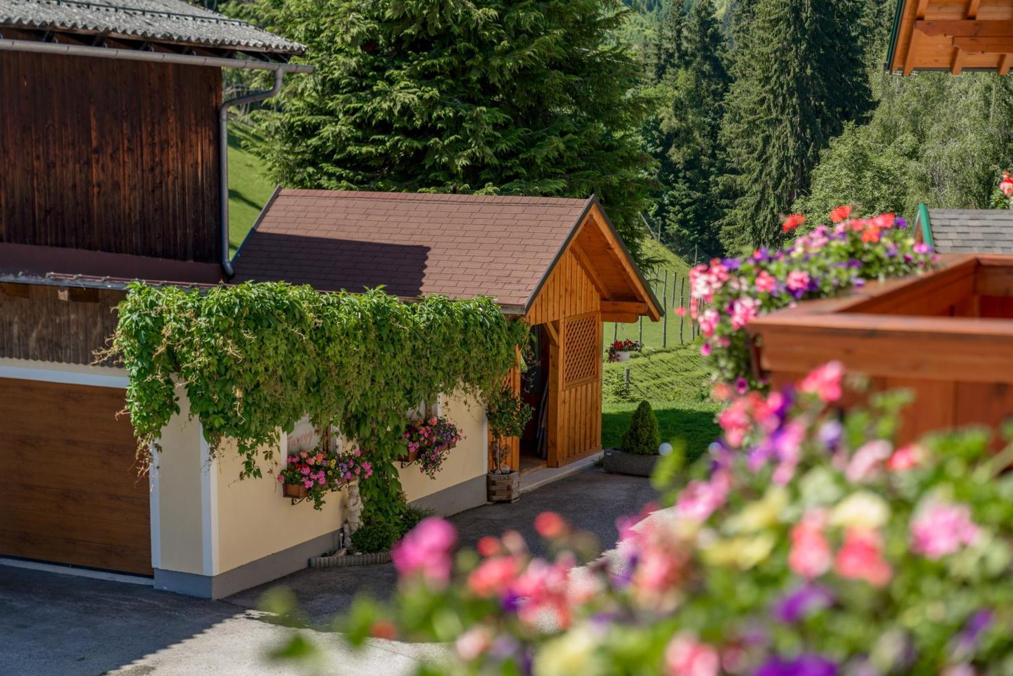 Apparthaus Taxegger Haus im Ennstal Zewnętrze zdjęcie